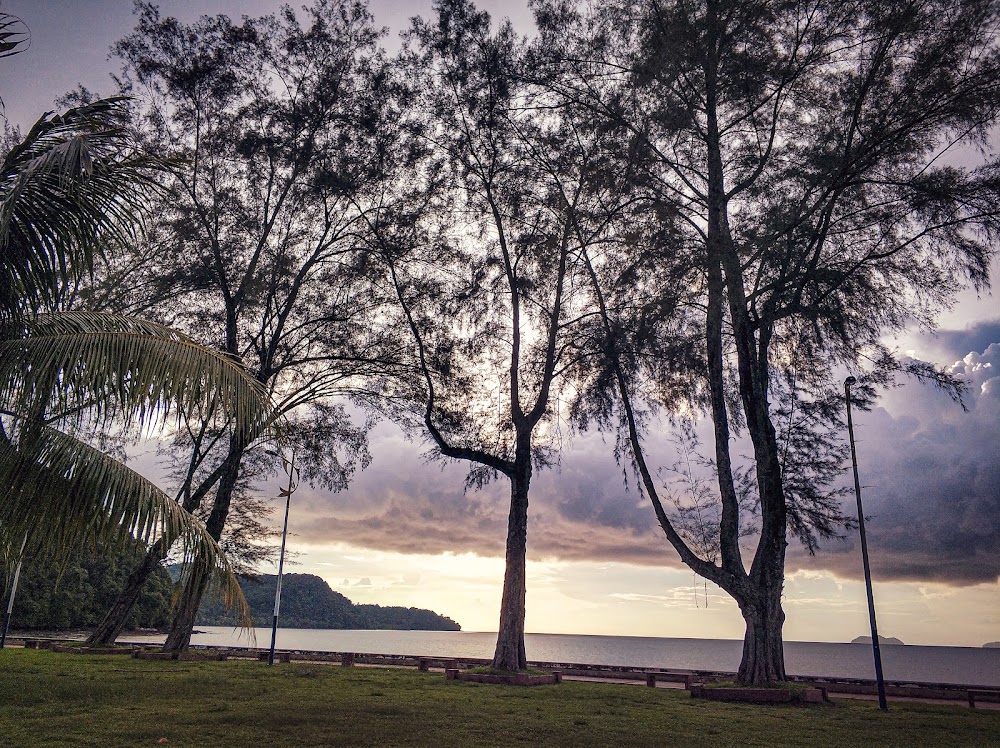Pokok-pokok teduh di tepi Pantai Merdeka